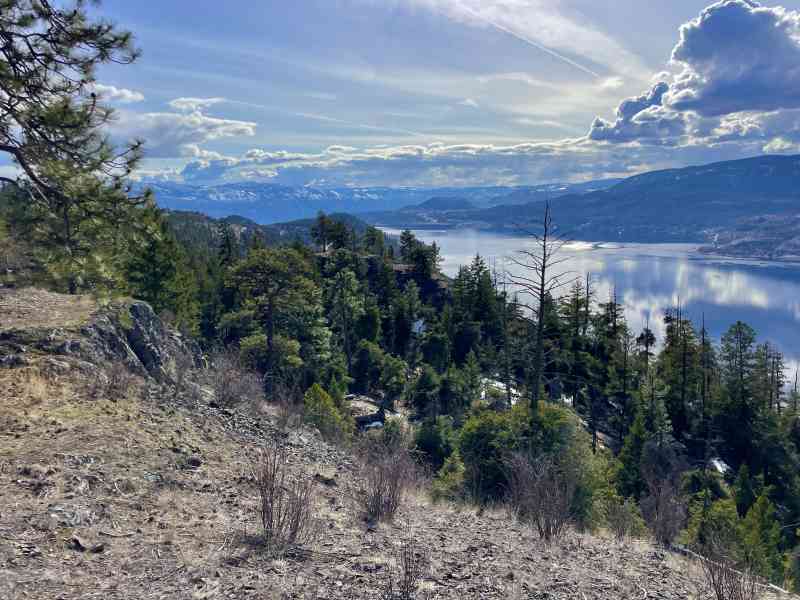 BDD9029F-62E8-4914-958B-B9E15511ADA3