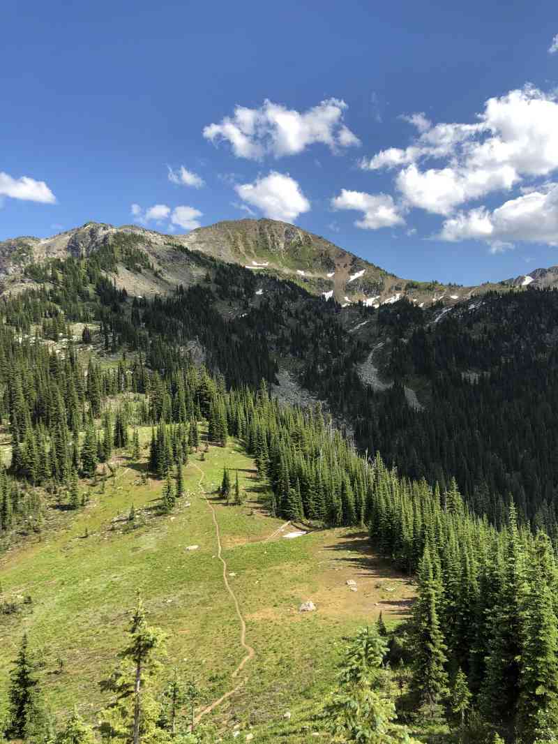 Alpine meadows on the hike in...