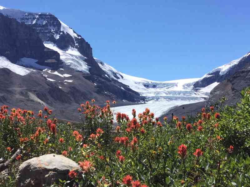 Athabasca Glacier Jasper NP
