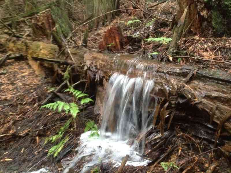 Angel Springs w/Darryl