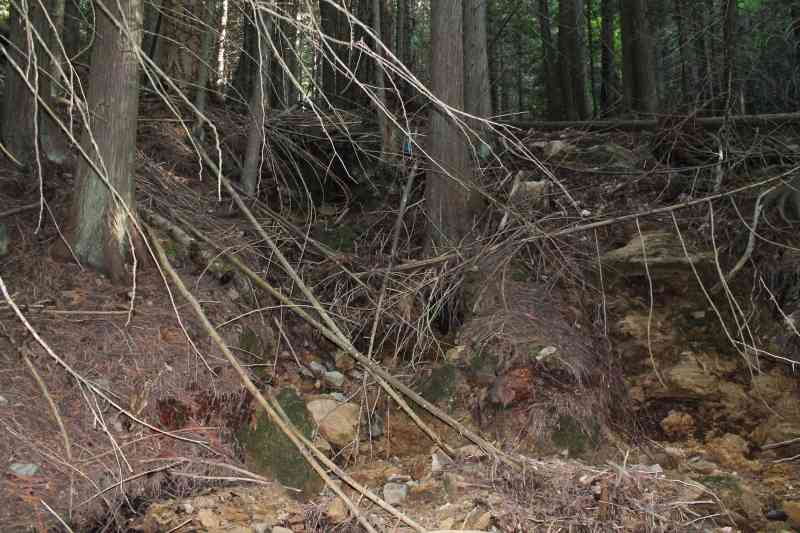 Angel Springs