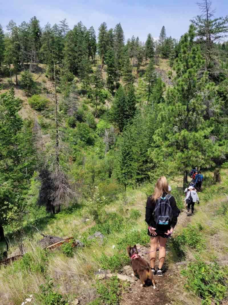 WhatsApp Image 2025-06-22 at 14.31.59