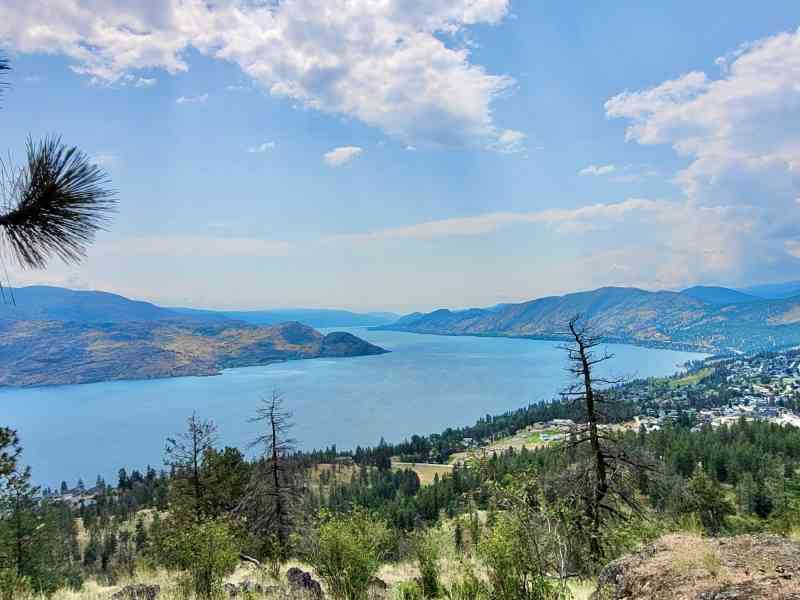 WhatsApp Image 2025-06-22 at 14.32.02 (1)