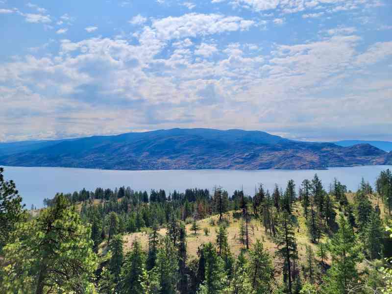 WhatsApp Image 2025-06-22 at 14.32.05 (1)