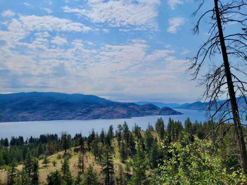 WhatsApp Image 2025-06-22 at 14.32.05