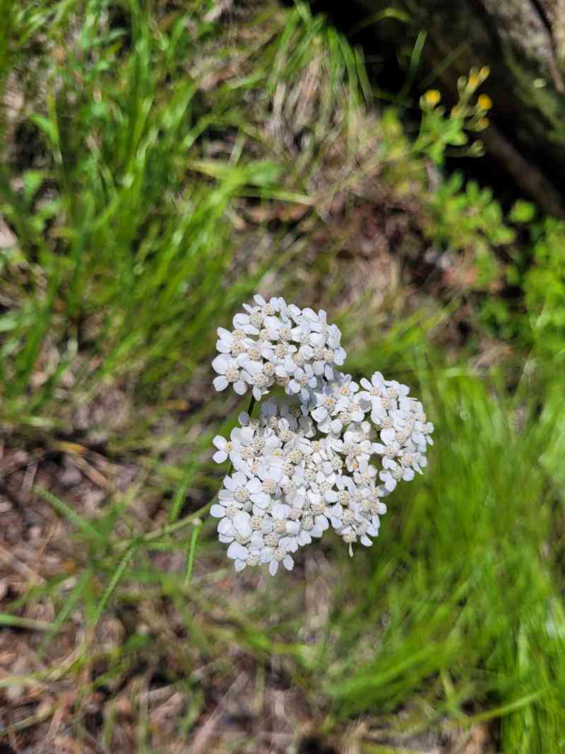 WhatsApp Image 2025-06-22 at 15.27.04