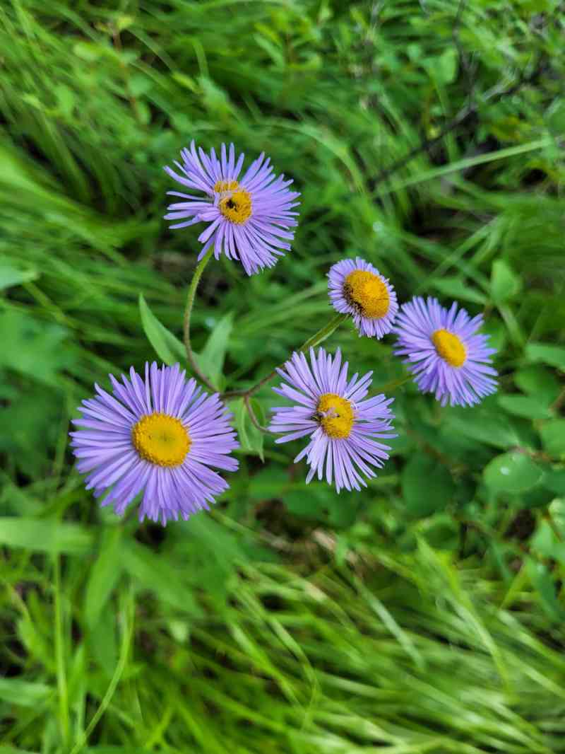 WhatsApp Image 2025-06-22 at 15.27.05 (1)