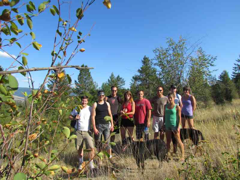 Stephens Coyote Ridge