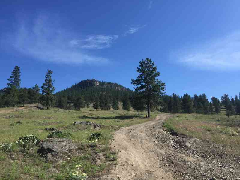 Blue Grouse: Full Loop