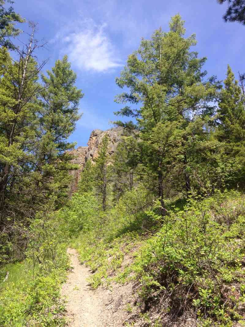 Bluenose Mountain