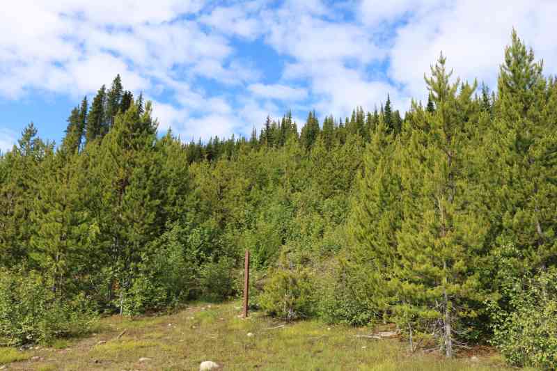 Brent Mountain